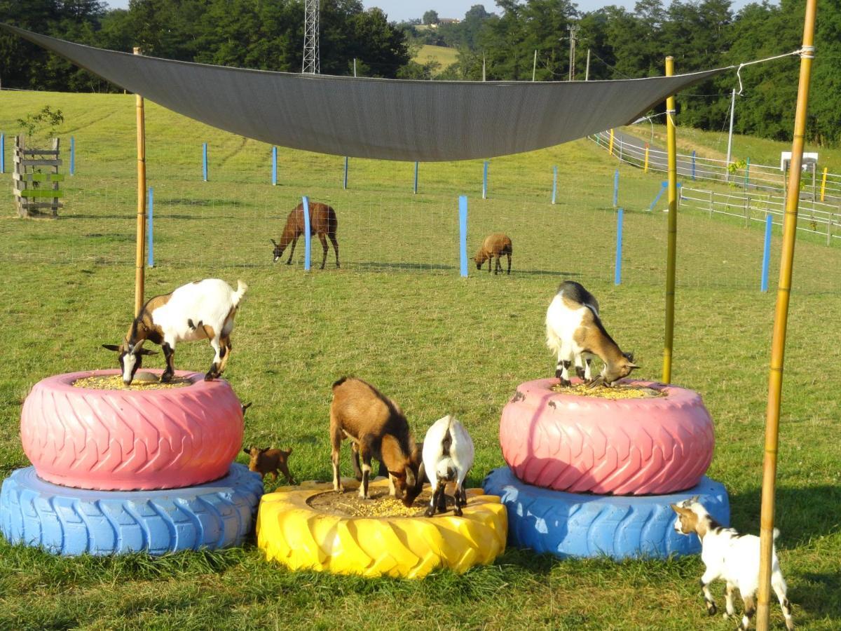 Bed and Breakfast La Petite Ferme De Pouillon - Parc Animalier - Aire De Loisirs Exteriér fotografie